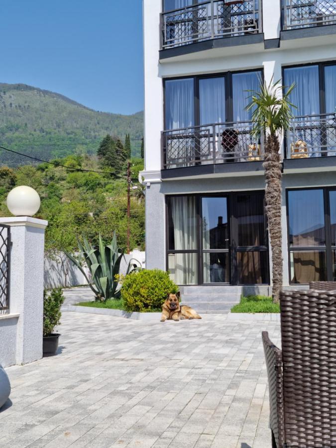 Gega Hotel Gagra Exterior photo